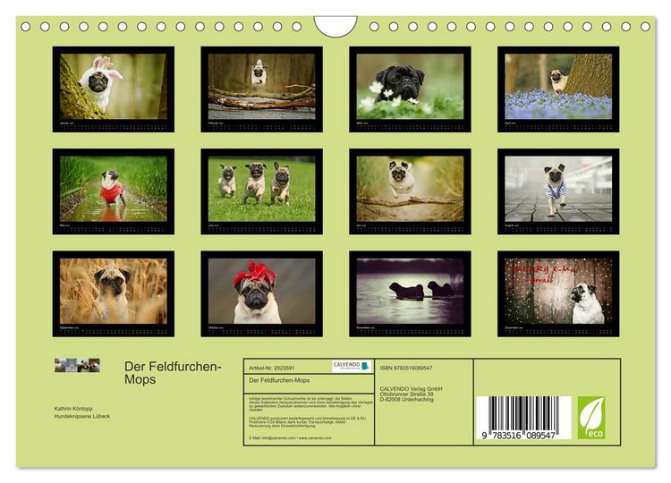 Produktbild: Der Feldfurchen-Mops (Wandkalender 2026 DIN A4 quer), CALVENDO Monatskalender