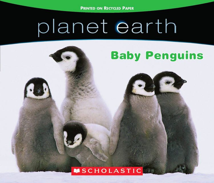 Produktbild: Baby Penguins