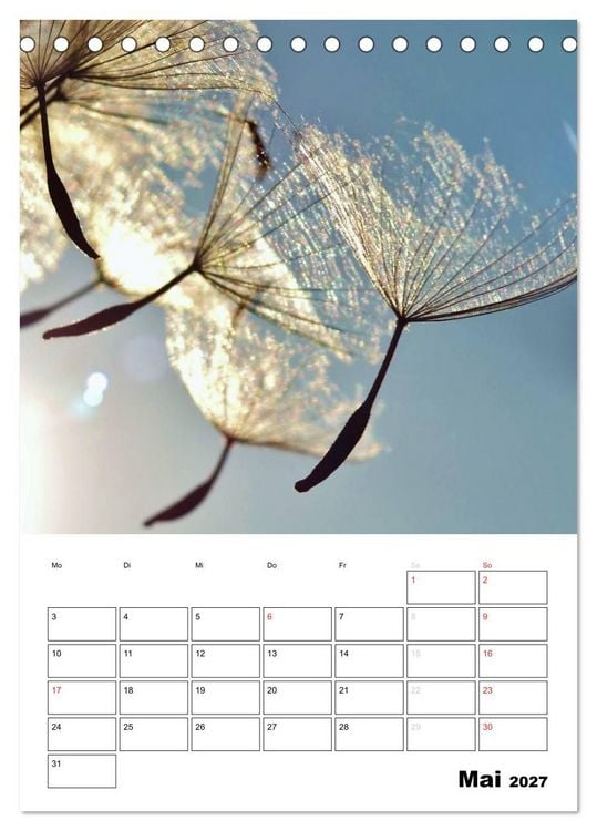 Produktbild: Pusteblumentraum - Dreams of Dandelion (Tischkalender 2027 DIN A5 hoch), CALVENDO Monatskalender