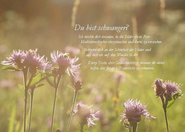 Produktbild: Die Sonne sucht dich &ndash; Das Foto-Meditationsbuch f&uuml;r eine gute Schwangerschaft und Geburt