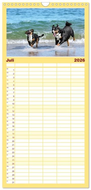Produktbild: Familienplaner 2026 - Appenzeller Sennenhunde - Fr&ouml;hliche Kameraden mit 5 Spalten (Wandkalender, 21 x 45 cm) CALVENDO