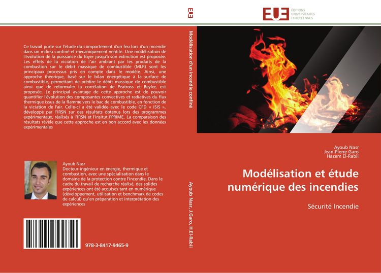 Produktbild: Mod&eacute;lisation et &eacute;tude num&eacute;rique des incendies