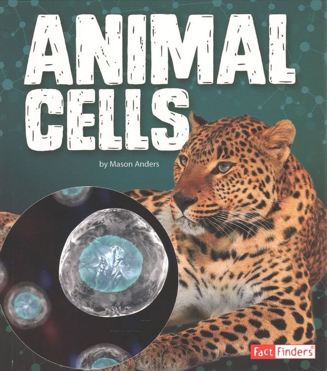 Produktbild: Animal Cells