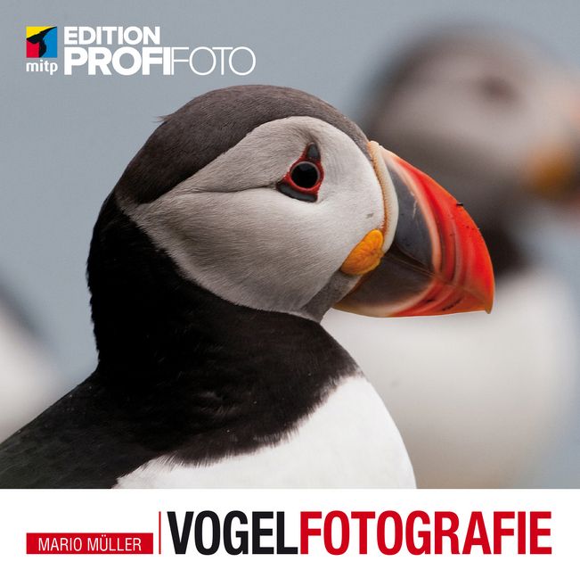 Produktbild: M&uuml;ller, M: Vogelfotografie