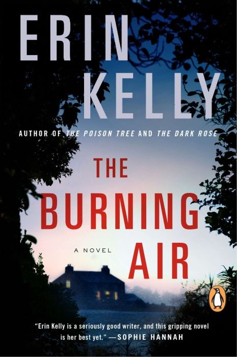 Produktbild: The Burning Air