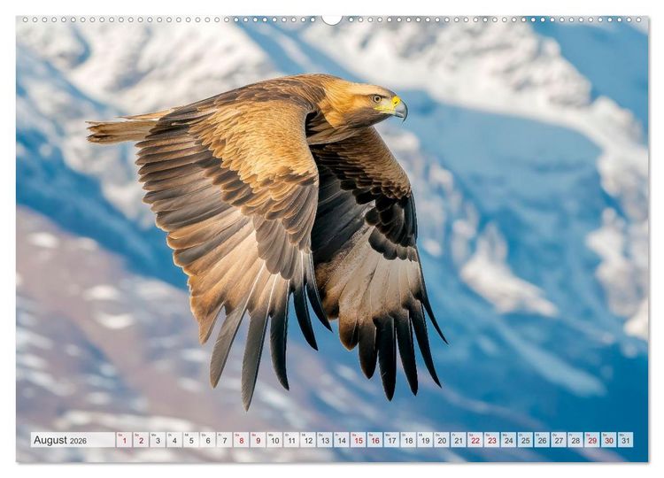 Produktbild: Bedrohte Tierwelt SCHATTEN DES VERSCHWINDENS (Wandkalender 2026 DIN A2 quer), CALVENDO Monatskalender