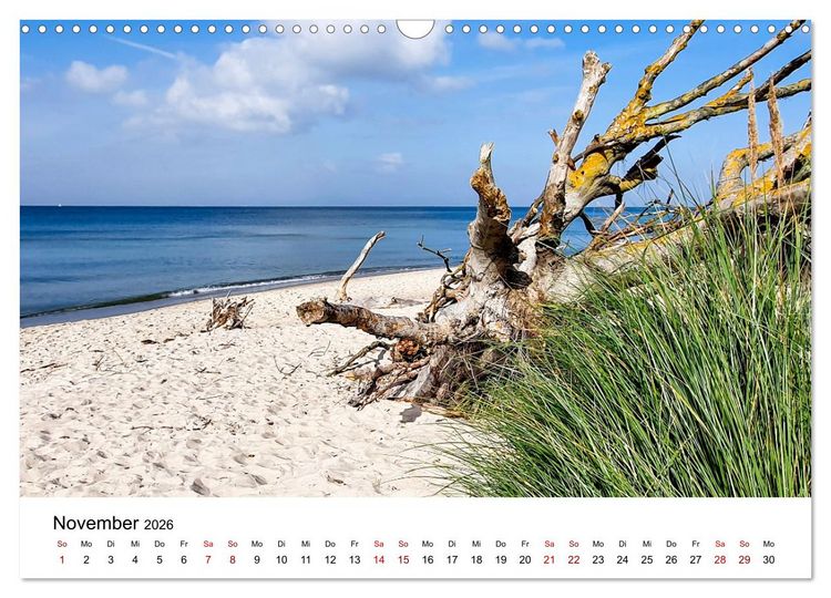 Produktbild: Fischland-Dar&szlig;-Zingst - Traumhafte Ostseelandschaften (Wandkalender 2026 DIN A3 quer), CALVENDO Monatskalender