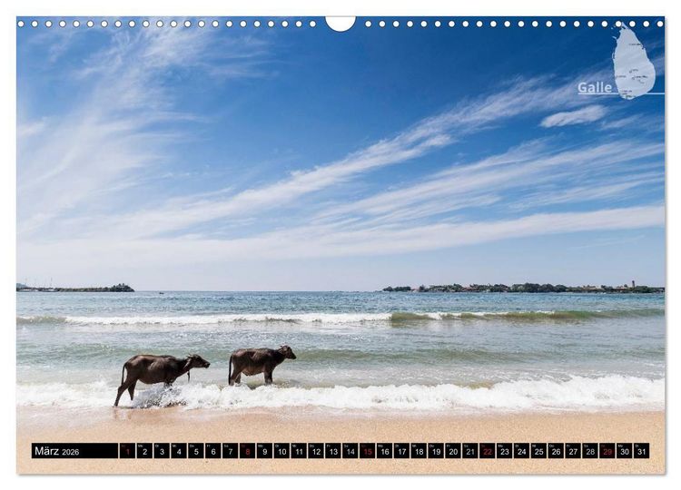 Produktbild: Sri Lanka, eine Reise &uuml;ber die Insel der King Coconut (Wandkalender 2026 DIN A3 quer), CALVENDO Monatskalender