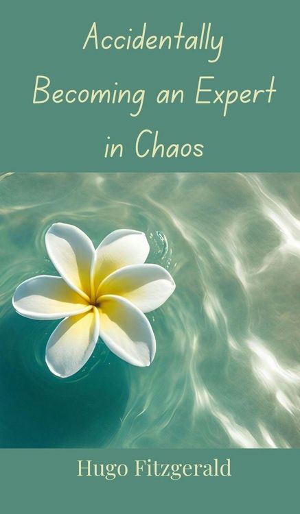 Produktbild: Accidentally Becoming an Expert in Chaos