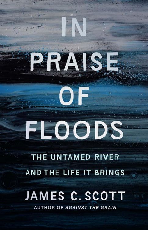 Produktbild: In Praise of Floods