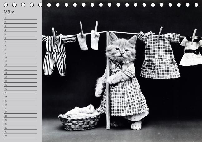 Produktbild: Katzen und Hunde - Nostalgie auf Pfoten (Tischkalender immerw&auml;hrend DIN A5 quer)