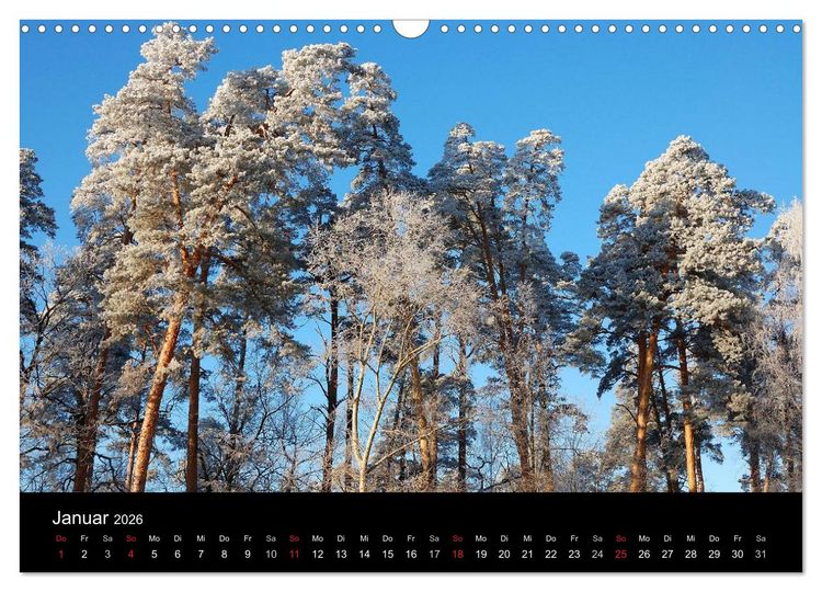 Produktbild: Jahreszeiten / 2026 (Wandkalender 2026 DIN A3 quer), CALVENDO Monatskalender