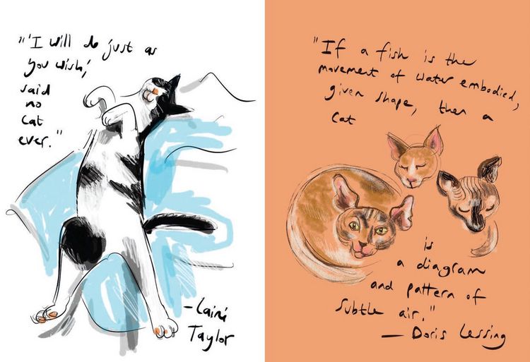 Produktbild: Puss in Books