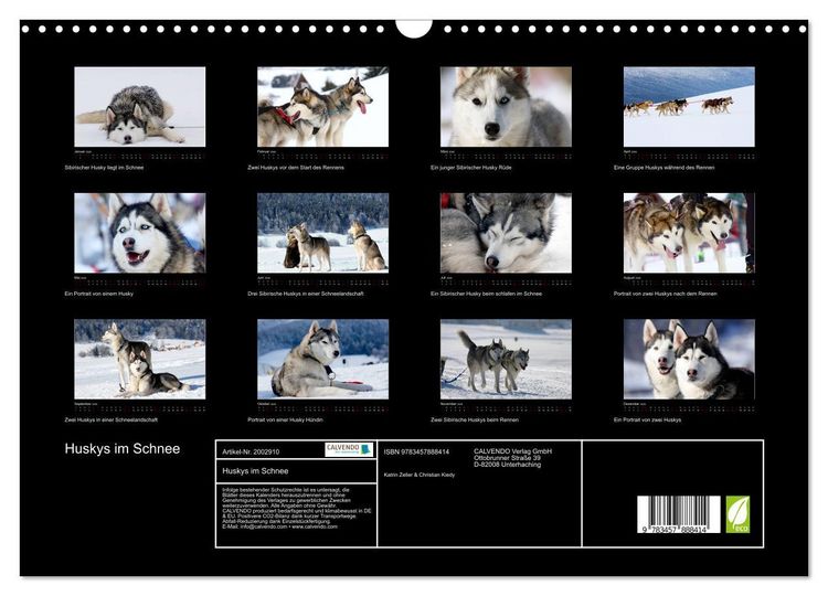 Produktbild: Huskys im Schnee (Wandkalender 2026 DIN A3 quer), CALVENDO Monatskalender