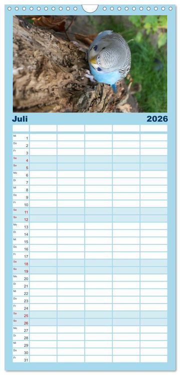 Produktbild: Familienplaner 2026 - Wellensittichtr&auml;ume - Der neue Wellensittich-Naturkalender mit 5 Spalten (Wandkalender, 21 x 45 cm) CALVENDO