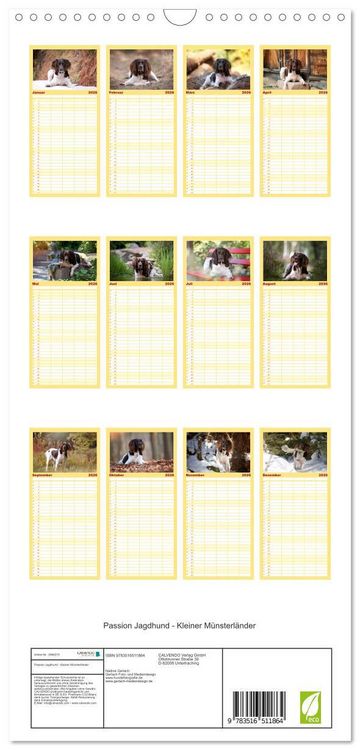 Produktbild: Familienplaner 2026 - Passion Jagdhund - Kleiner M&uuml;nsterl&auml;nder mit 5 Spalten (Wandkalender, 21 x 45 cm) CALVENDO