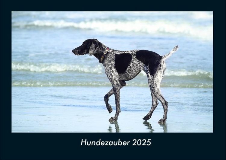 Produktbild: Hundezauber 2025 Fotokalender DIN A4