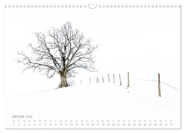Produktbild: Astrein! - Der Baumkalender 2026 (Wandkalender 2026 DIN A3 quer), CALVENDO Monatskalender