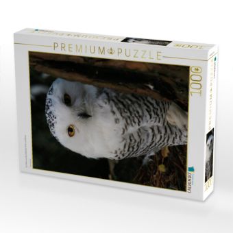 Produktbild: CALVENDO Puzzle Ein Motiv aus dem Kalender Eulen und K&auml;uze | 1000 Teile Lege-Gr&ouml;&szlig;e 64x48cm Foto-Puzzle f&uuml;r gl&uuml;ckliche Stunden