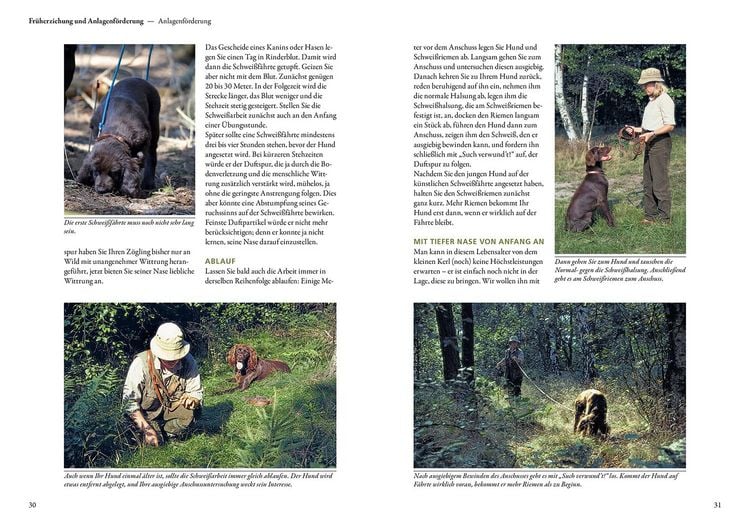 Produktbild: Vom Welpen zum Jagdhelfer
