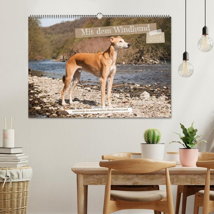 Produktbild: Mit dem Windhund unterwegs im zauberhaften Bergischen Land (Wandkalender 2026 DIN A2 quer), CALVENDO Monatskalender