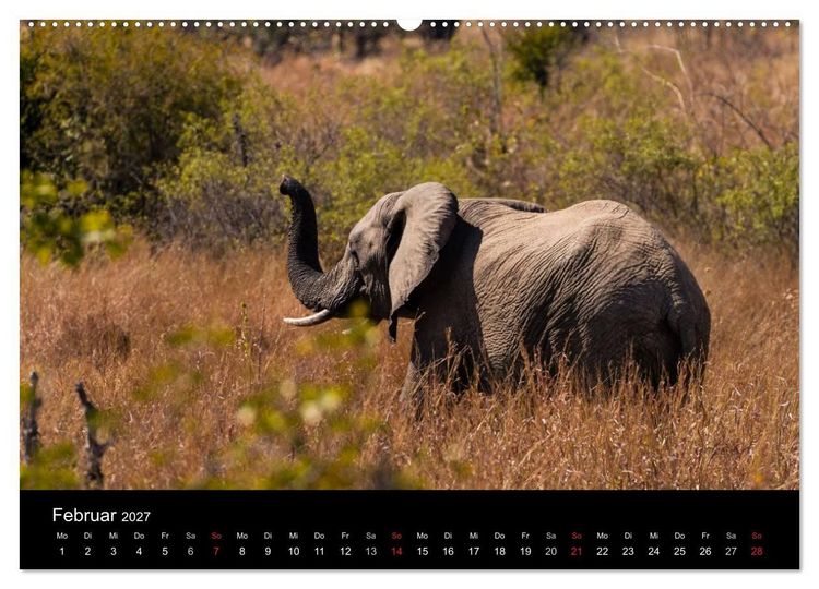Produktbild: Elefanten - Die sanften Riesen Afrikas (Wandkalender 2027 DIN A2 quer), CALVENDO Monatskalender