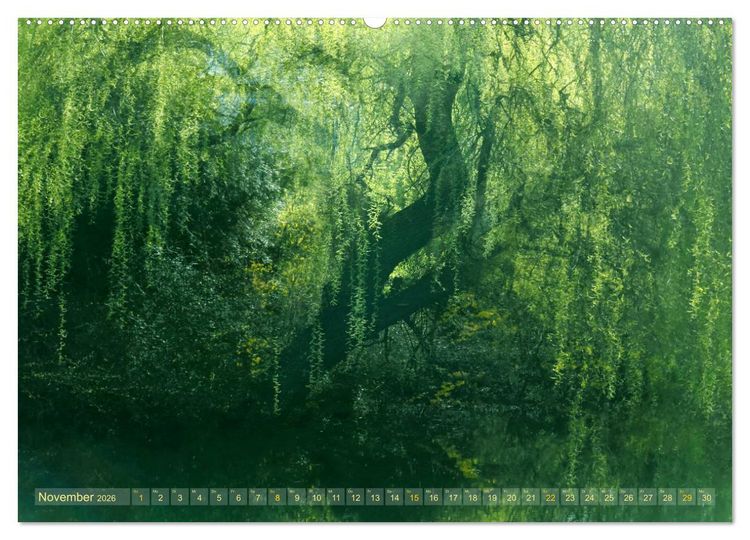 Produktbild: Vielfalt der B&auml;ume - variety of trees (hochwertiger Premium Wandkalender 2026 DIN A2 quer), Kunstdruck in Hochglanz