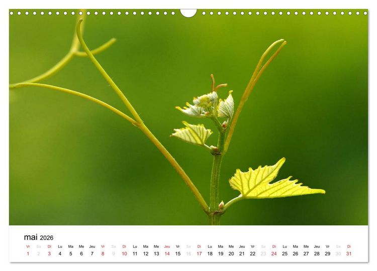 Produktbild: Gen&egrave;ve Points de vue (Calendrier mural 2026 DIN A3 vertical), CALVENDO calendrier mensuel