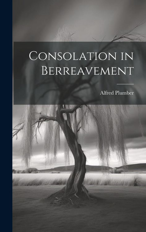 Produktbild: Consolation in Berreavement
