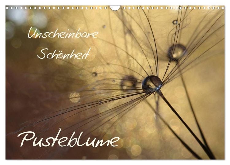 Produktbild: Unscheinbare Sch&ouml;nheit - Pusteblume (Wandkalender 2026 DIN A3 quer), CALVENDO Monatskalender