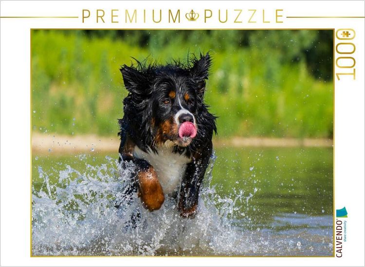 Produktbild: CALVENDO Puzzle Berner Sennenhund am See | 1000 Teile Lege-Gr&ouml;&szlig;e 64x48cm Foto-Puzzle f&uuml;r gl&uuml;ckliche Stunden