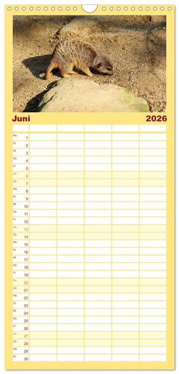 Produktbild: Familienplaner 2026 - Erdm&auml;nnchen - Zusammen sind wir stark mit 5 Spalten (Wandkalender, 21 x 45 cm) CALVENDO