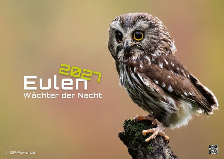 Produktbild: Eulen - W&auml;chter der Nacht - 2027 - Kalender DIN A3