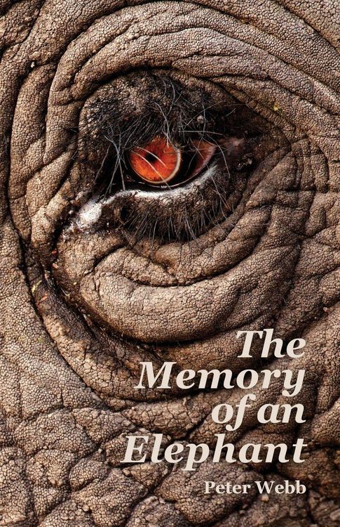 Produktbild: The Memory of an Elephant
