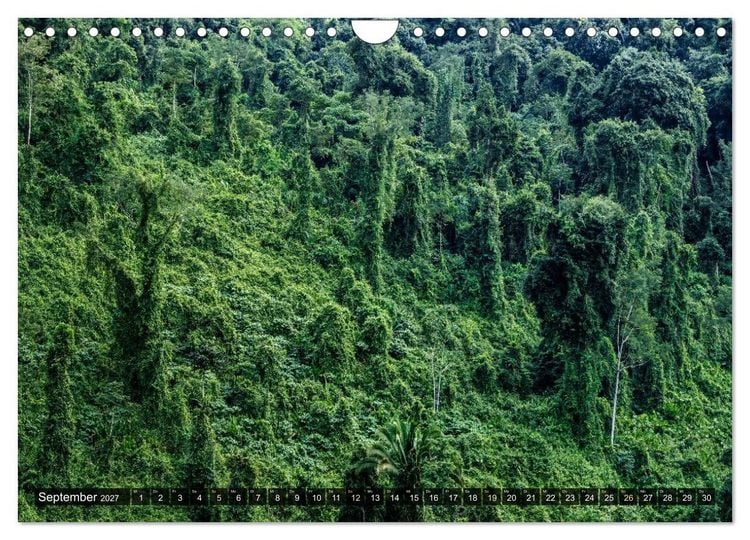 Produktbild: Naturwelt Mittelamerika (Wandkalender 2027 DIN A4 quer), CALVENDO Monatskalender