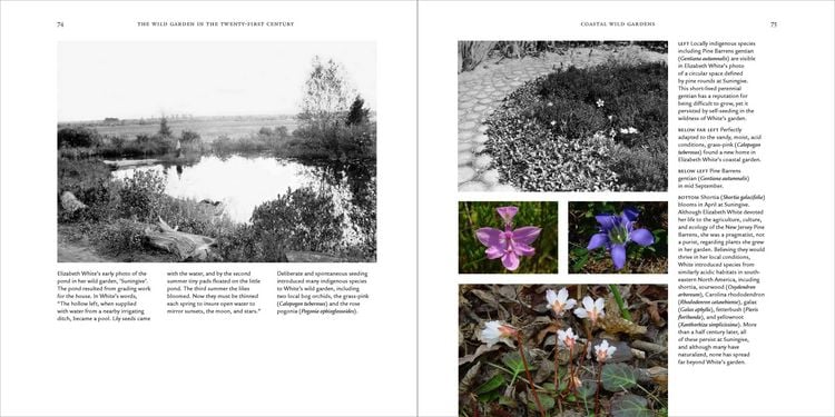 Produktbild: The Wild Garden