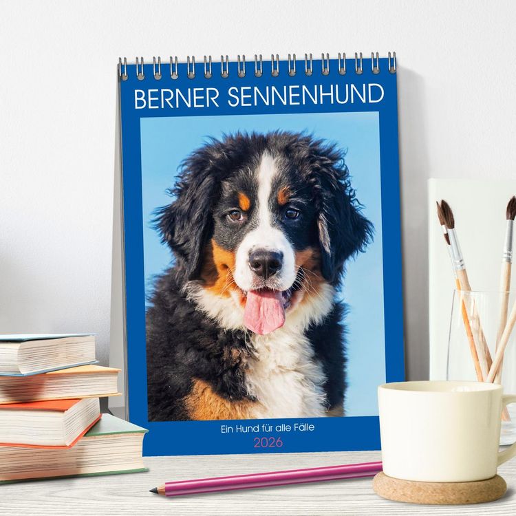 Produktbild: Berner Sennenhund - Ein Hund f&uuml;r alle F&auml;lle (Tischkalender 2026 DIN A5 hoch), CALVENDO Monatskalender