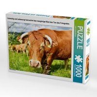 Produktbild: CALVENDO Puzzle Gutm&uuml;tig und unbesorgt betrachtet das neugierige Rind das Tun des Fotografen. 1000 Teile Lege-Gr&ouml;&szlig;e 64 x 48 cm Foto-Puzzle Bild von Jean-Louis Glineur