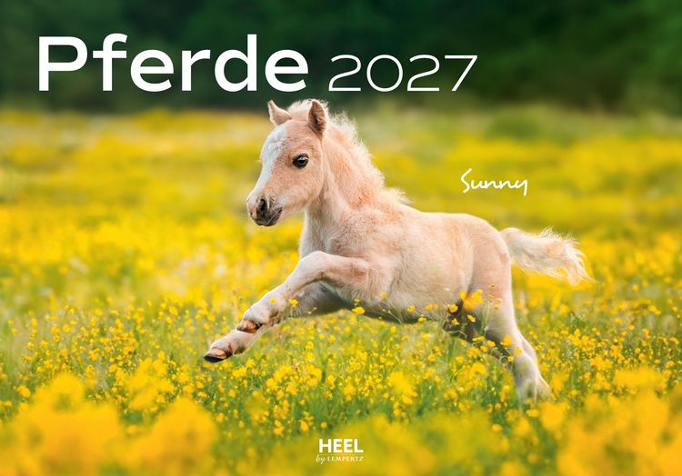 Produktbild: Pferde Kalender 2027 Wandkalender