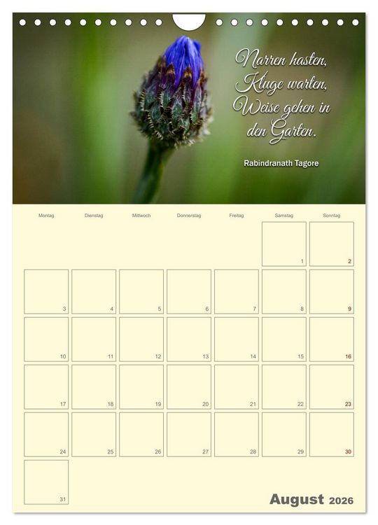Produktbild: Gartenliebe (Wandkalender 2026 DIN A4 hoch), CALVENDO Monatskalender