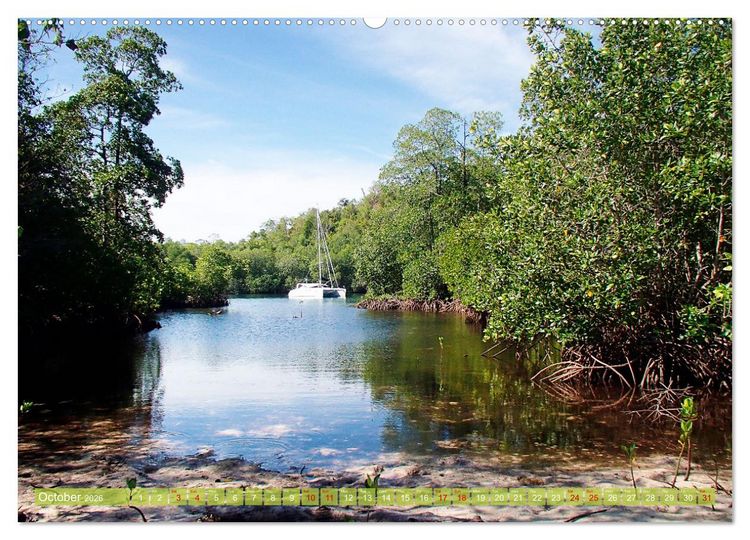 Produktbild: Mangroves - Valuable Habitat (High Quality Premium Wall Calendar 2026 DIN A2 landscape),CALVENDO 12 Month Wall Calendar