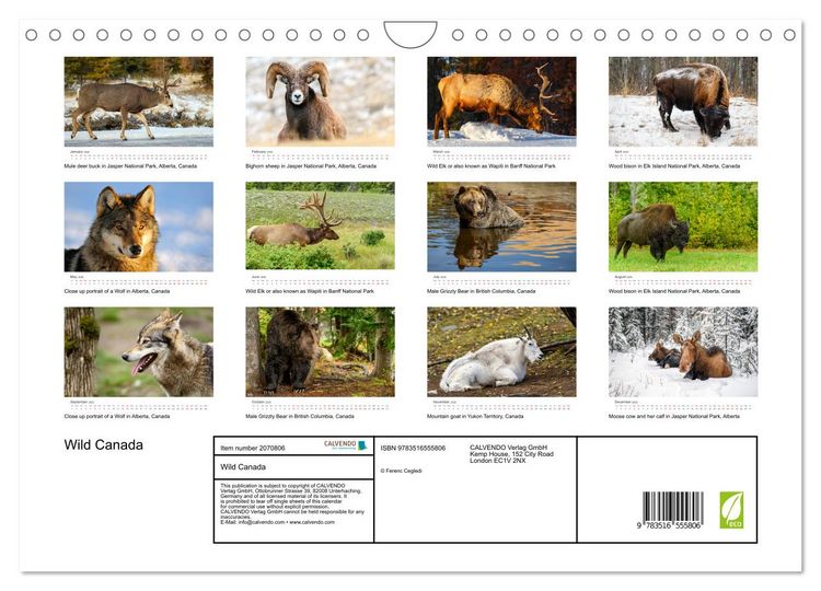 Produktbild: Wild Canada (Wall Calendar 2026 DIN A4 landscape), CALVENDO 12 Month Wall Calendar