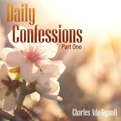 Produktbild: Daily Confessions