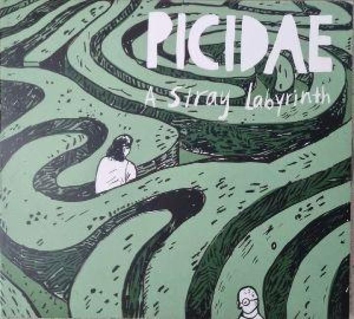 Produktbild: A Stray Labyrinth
