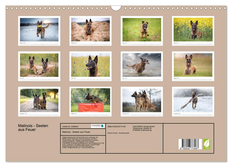 Produktbild: Malinois - Seelen aus Feuer (Wandkalender 2027 DIN A3 quer), CALVENDO Monatskalender