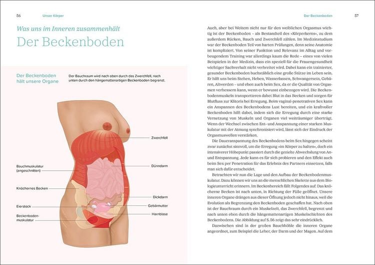 Produktbild: Das gro&szlig;e Gynbuch