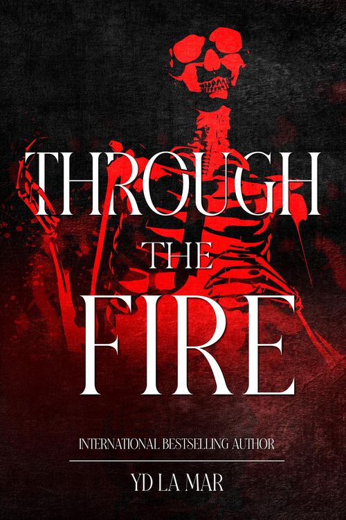 Produktbild: Through the Fire (Soul Taker Series)