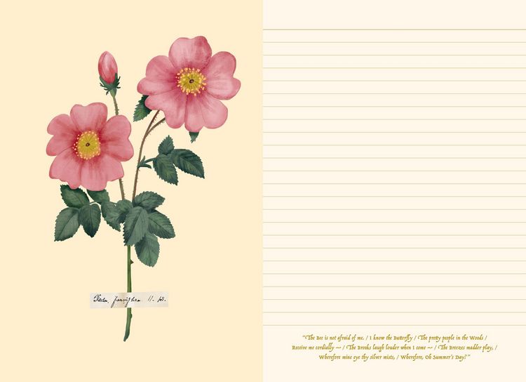 Produktbild: Poetry of Flowers: An Emily Dickinson Journal