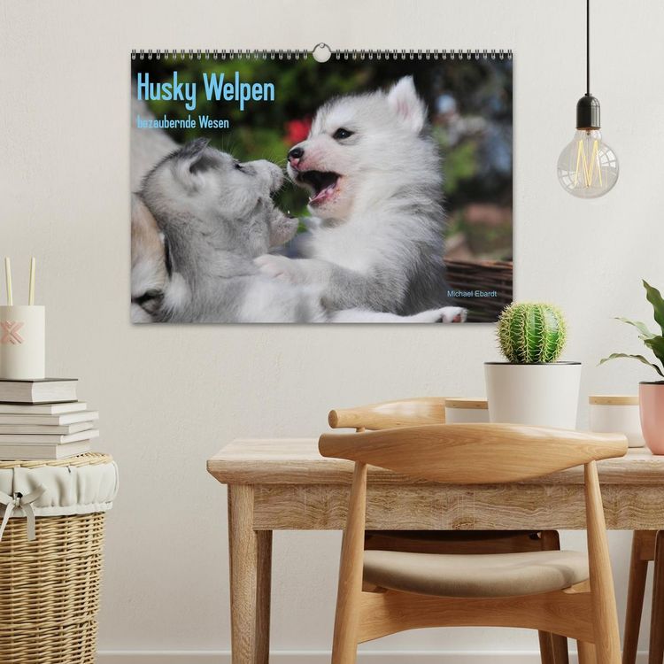 Produktbild: Husky Welpen (Wandkalender 2026 DIN A3 quer), CALVENDO Monatskalender