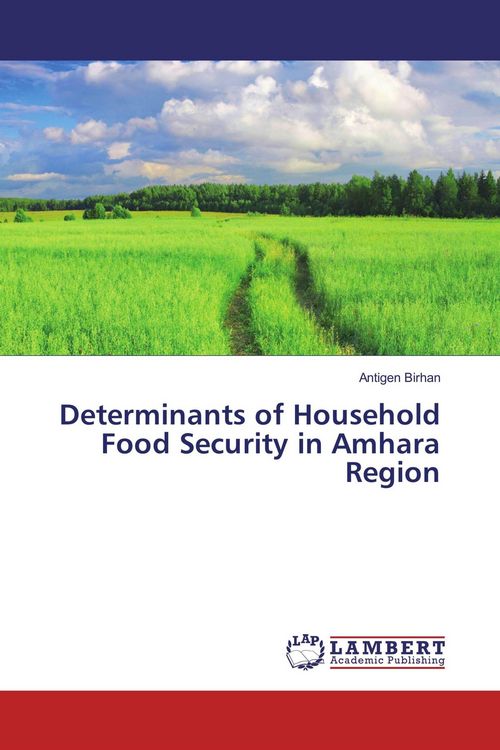 Produktbild: Determinants of Household Food Security in Amhara Region